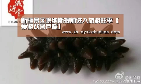 新疆景区喀纳斯提前进入旅游旺季【爱游戏客户端】(图4) 爱游戏客户端