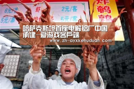 哈萨克斯坦首座电解铝厂中国承建-爱游戏客户端(图2) 爱游戏客户端