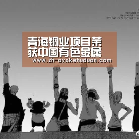 青海铜业项目荣获中国有色金属工业优质工程奖|爱游戏客户端(图2) 爱游戏客户端