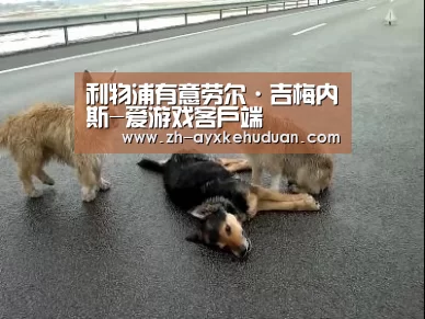 利物浦有意劳尔·吉梅内斯-爱游戏客户端(图1) 爱游戏客户端