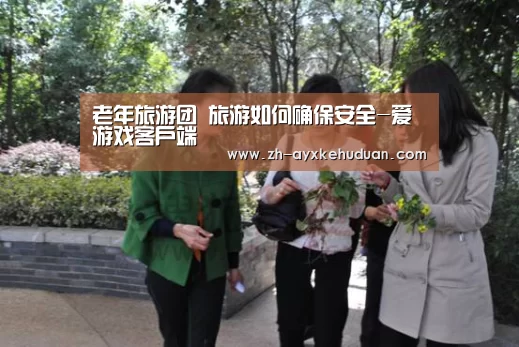 老年旅游团 旅游如何确保安全-爱游戏客户端(图1) 爱游戏客户端